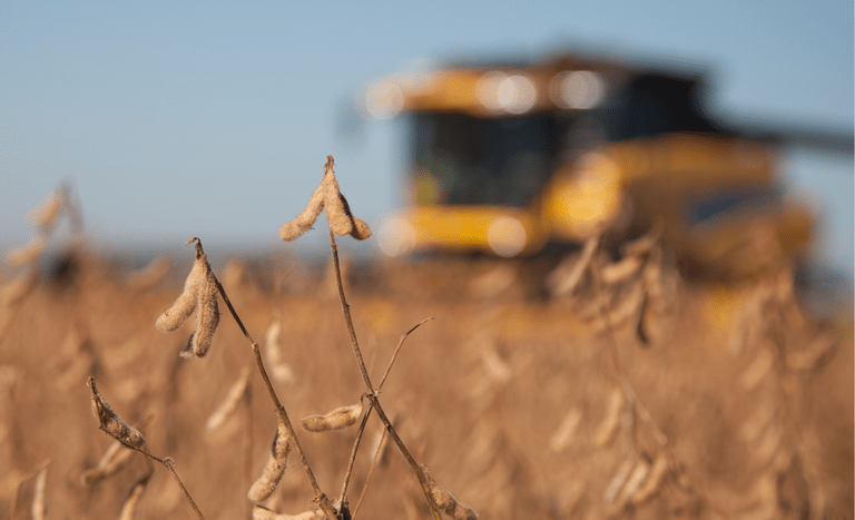 Valor Bruto da Produção Agropecuária de MS cresce 23,6% e atinge R$ 76,3 bilhões