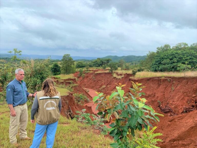 Plantio de mudas nativas recupera áreas degradadas no Taquari
