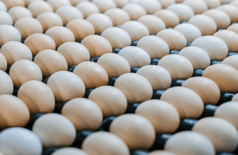 MS deve se tornar competitivo também no mercado de ovos