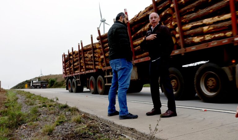MS terá rodovia de concreto para suportar cargas pesadas no vale da celulose