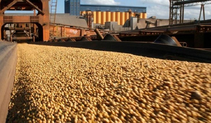 Exportações de MS chegam a 3,1 bilhões de dólares no 1º quadrimestre de 2024