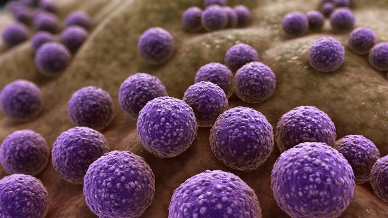 Terapia à base de luz reduz resistência de bactéria a antibióticos