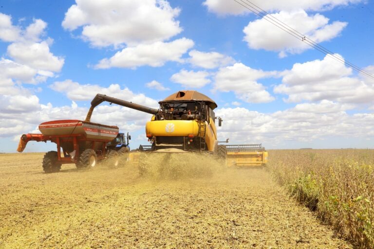No vai e vem do clima, produção de soja cai 17,7% em Mato Grosso do Sul