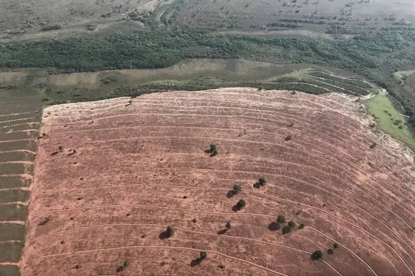 Desmatamento diminui, mas não acaba no Pantanal, diz relatório