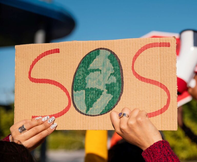 Ferramenta elenca estratégias para aumentar a consciência ambiental