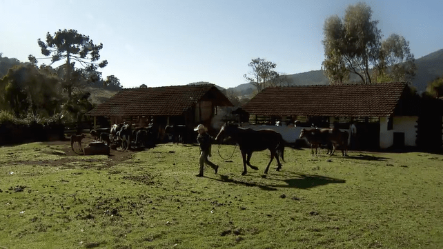 Turismo rural atrai cada vez mais visitantes para passeios no campo