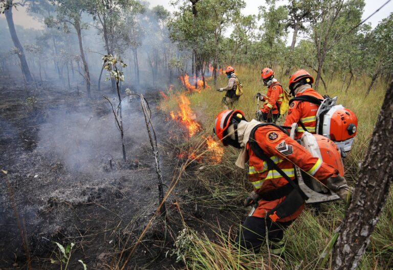 Ministério Público abre 11 inquéritos para apurar incêndios no Pantanal