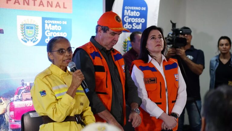 Faltou o “dever de casa” e desmatamento contribuiu para incêndios, diz ministra