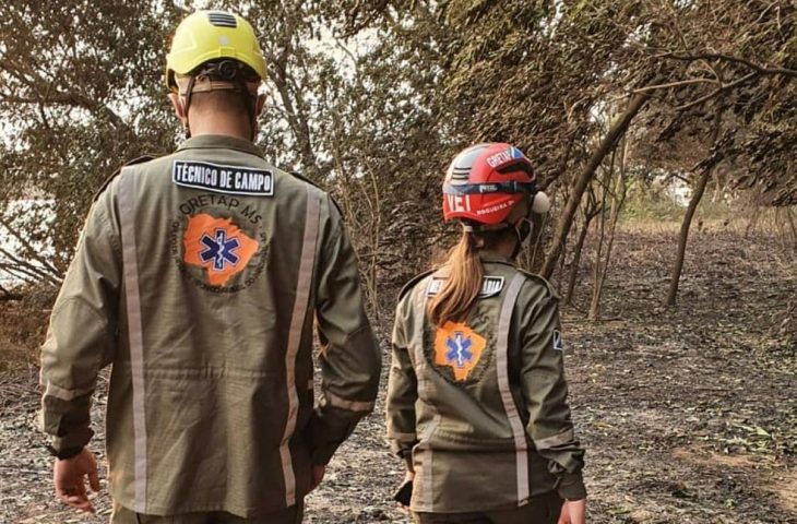 Grupo inicia deslocamento de animais ameaçados por incêndios no Pantanal