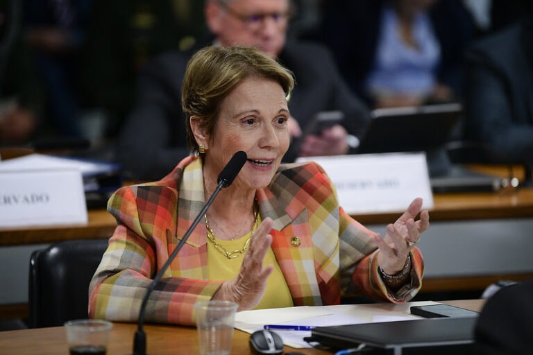 “Um retrocesso”, diz Tereza Cristina sobre a MP do Fim do Mundo