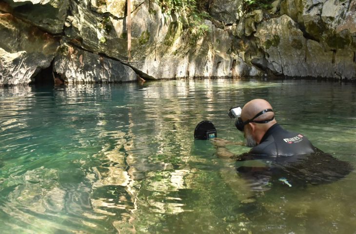 Na lista de extinção, peixe cascudo é avistado em caverna de Bonito