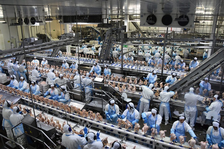 Exportação de industrializados de MS alcança US$ 2,37 bilhões entre janeiro e maio