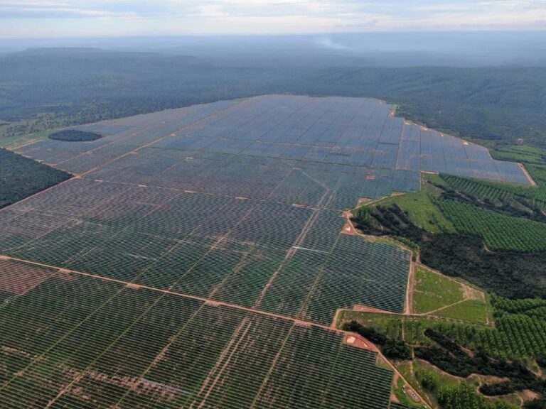 Efeito colateral de projetos de energia renovável faz disparar desmatamento
