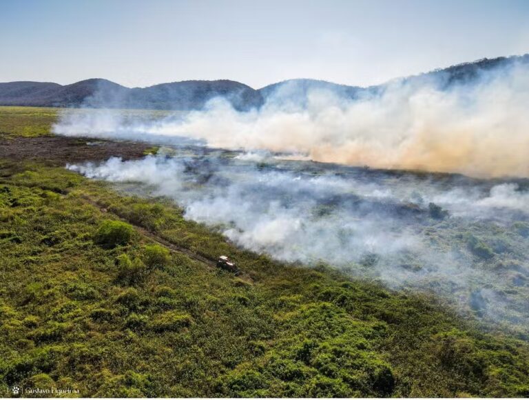 Combate ao fogo no Pantanal é uma batalha sem trégua e nem trincheira