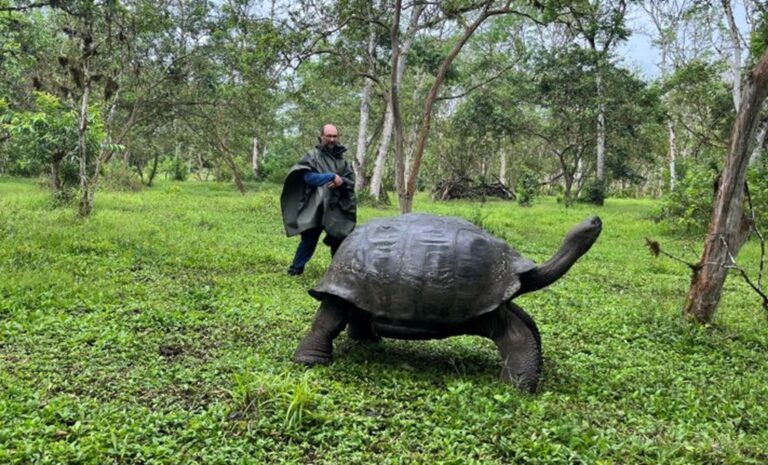 Em livro, cientista narra jornada pelo Antropoceno com final otimista
