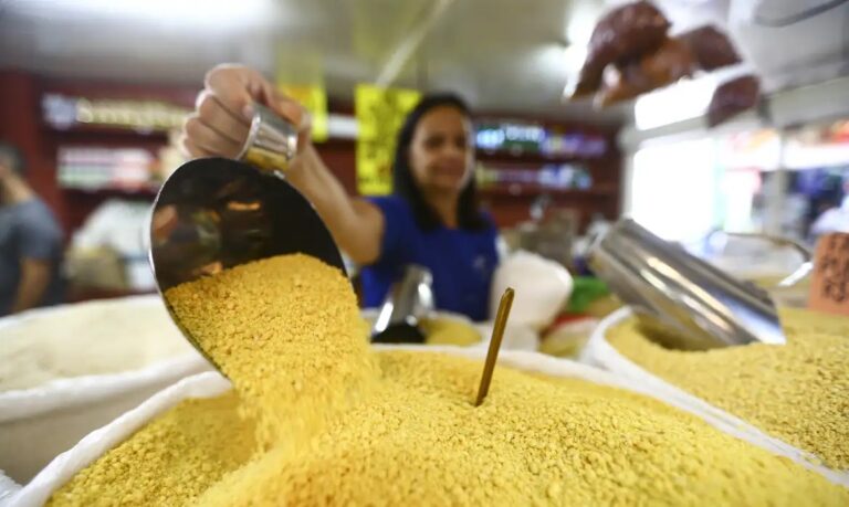 Brasil alcançou recorde de 100 milhões de pessoas ocupadas em 2023