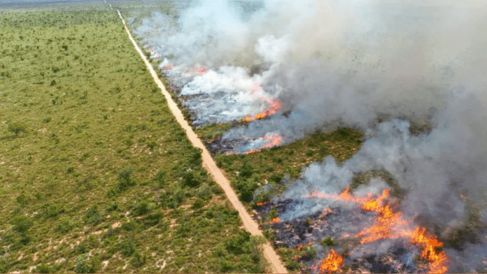 queima