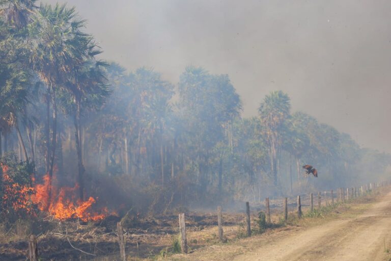 Queima científica fora de controle gera incêndio no Pantanal