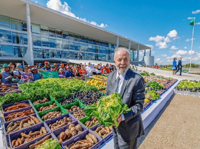 Novo Plano Safra aposta em sistemas sustentáveis e agricultura familiar