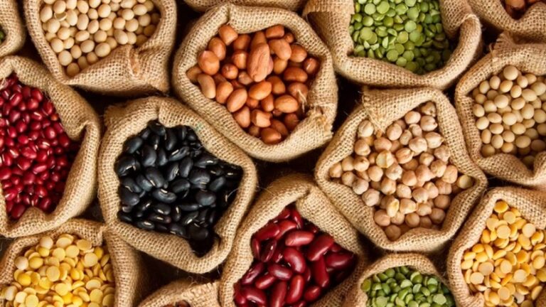Inovação com produtos biológicos ganha espaço no agronegócio