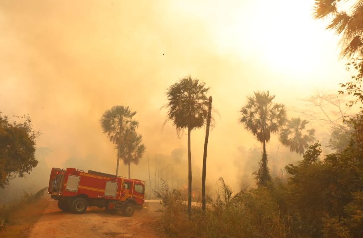 Batalha sem trégua: Combate aos incêndios no Pantanal chega ao 95º dia
