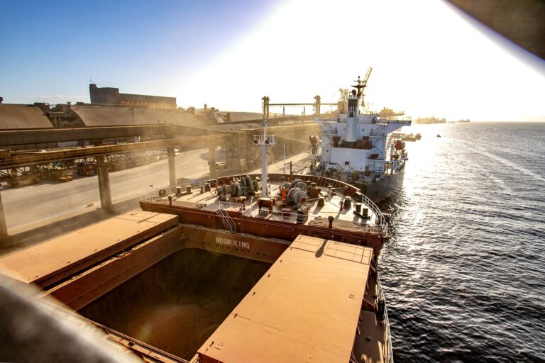 Exportações de MS superam US$ 5 bilhões no ano puxadas pela soja e celulose