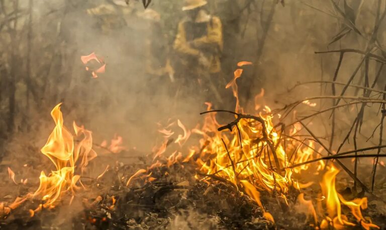 PF apura 18 ocorrências de queimadas voluntárias no Pantanal
