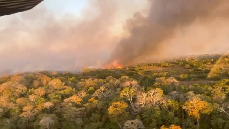 Brasil já registrou mais de 154 mil focos de incêndios este ano