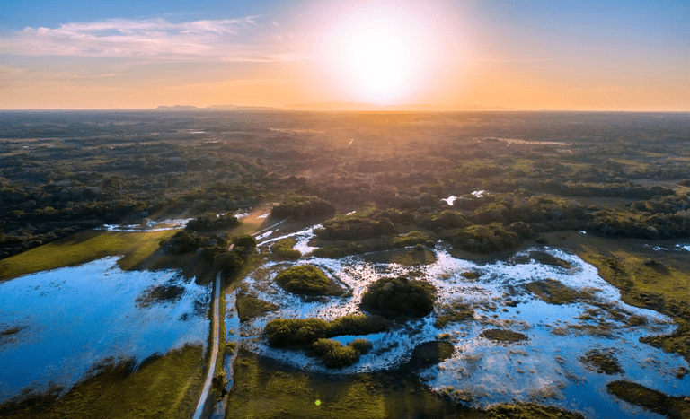 Criado há quase 30 anos, Programa Pantanal segue em “gestação”