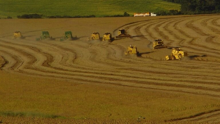 Chuva provoca corrida ao plantio e soja já ocupa 30% da área prevista