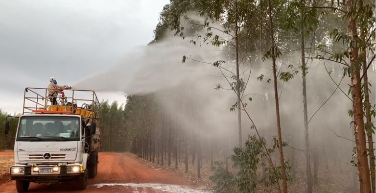 Suzano põe 700 brigadistas de prontidão no combate a incêndios florestais
