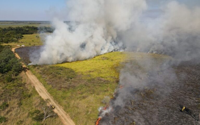Em apenas um dia, Pantanal tem mais incêndios do que todo mês de julho de 2023
