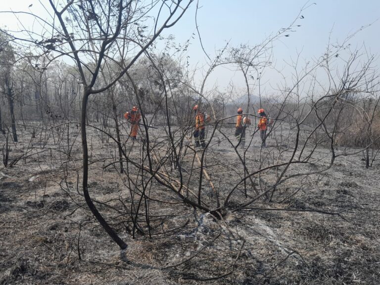 Com situação climática extrema, fogo se espalha por todos os biomas
