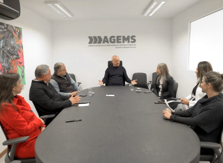 MSGÁS e AGEMS tratam do novo mercado de gás e desafios da transição energética