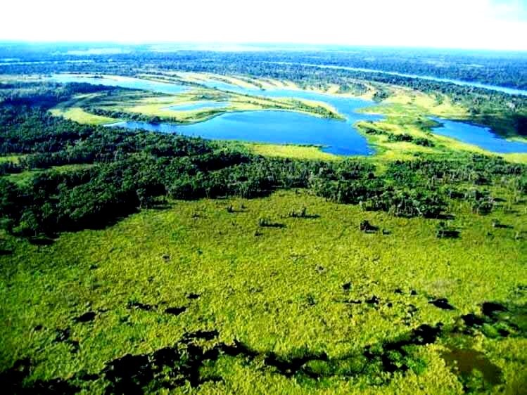 MS e MT validam acordo de cooperação para preservação do Pantanal