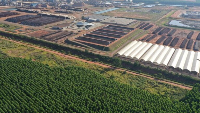 Quase 100% do lixo industrial da Suzano vira fertilizante orgânico