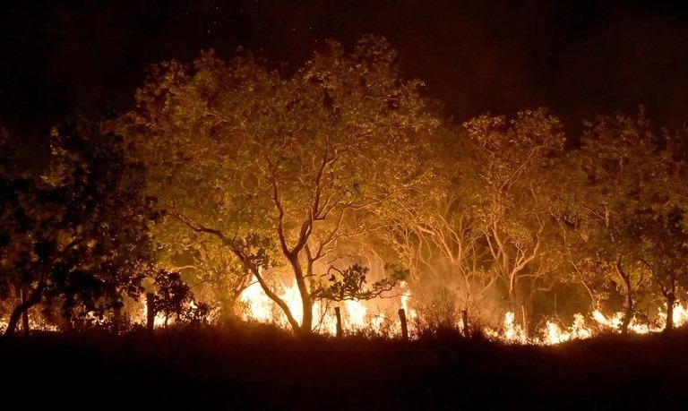 Governo decreta multas pesadas para os incendiários