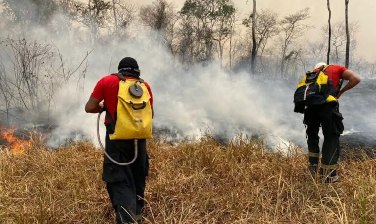 Brasil envia equipe de bombeiros para combater incêndios na Bolívia