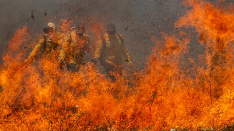 Governo anuncia mais de meio bilhão para combater incêndios florestais