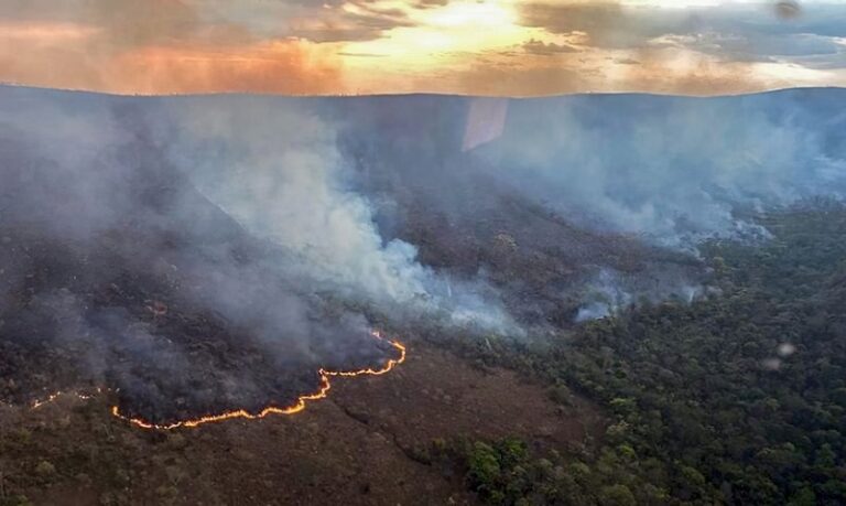 Áreas queimadas no Brasil aumentaram quase 80% em 2024