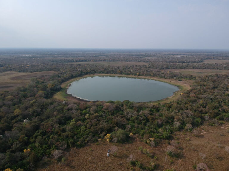 “Lagoas de soda” do Pantanal contribuem para a mudança climática