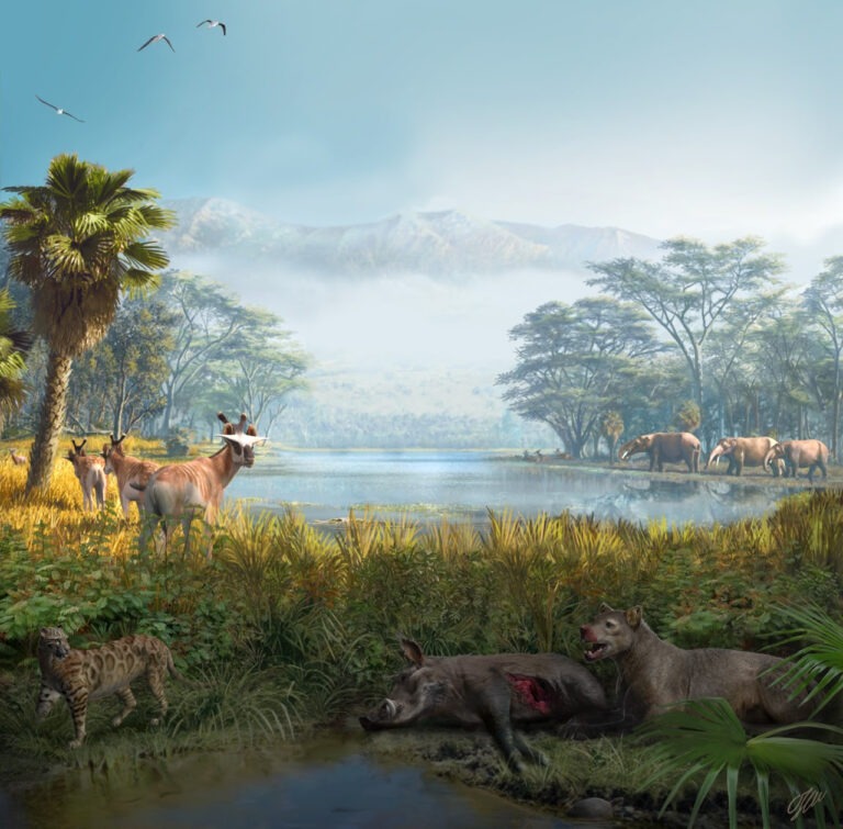 Estudo adverte para o efeito cascata das extinções nos dias atuais