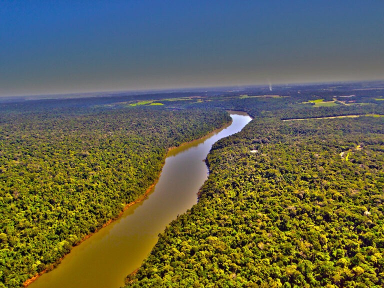 Rio Paraná está secando, diz relatório que aponta fenômeno em 12 rios