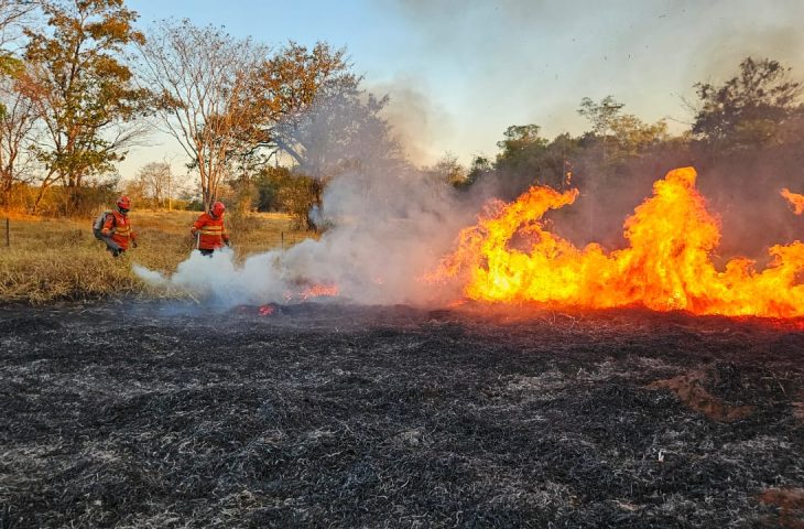 Pantanal ainda tem quatro focos de incêndio após 198 dias de combate ao fogo