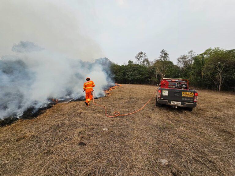 Chuvas esfriam os focos de incêndio no Pantanal