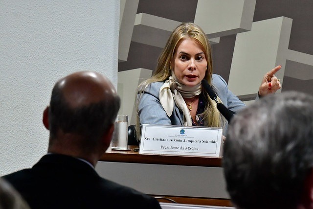 Não há bala de prata. Voz pela descarbonização ecoa no Senado