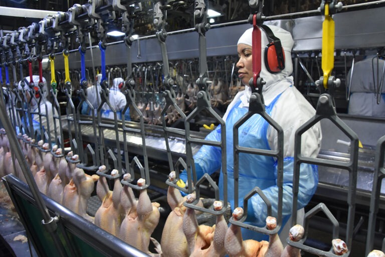 Exportação de industrializados alcança em setembro resultado recorde