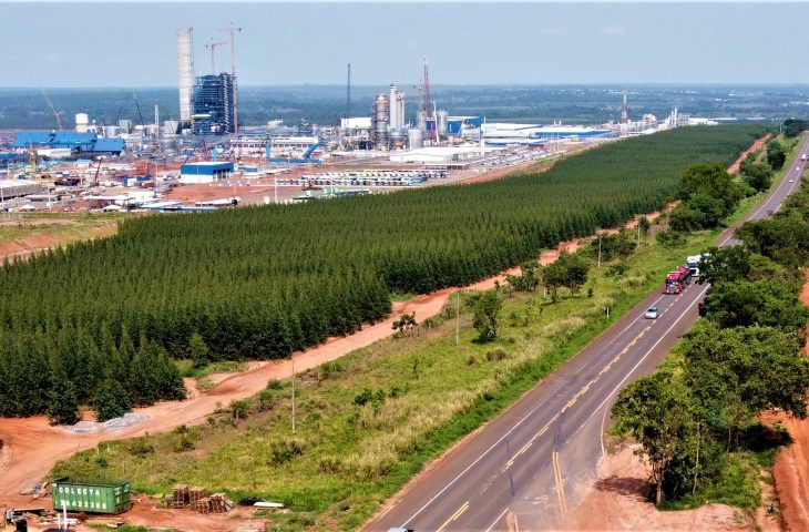 MS comemora 47 anos com taxas de crescimento acima da média nacional
