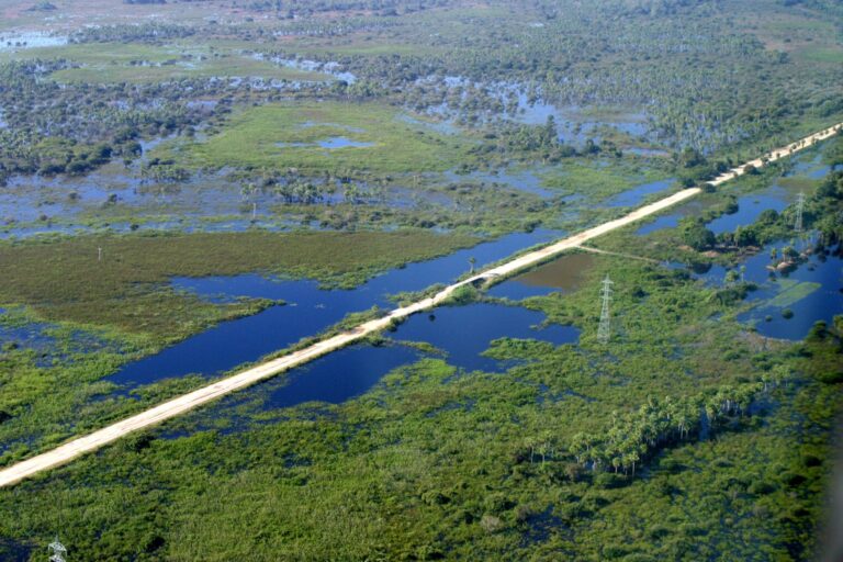 Decisão do STF sobre reserva legal reforça conservação do Pantanal