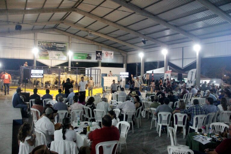 Feapan encerra com público de 20 mil em três dias e fortalece a pecuária pantaneira